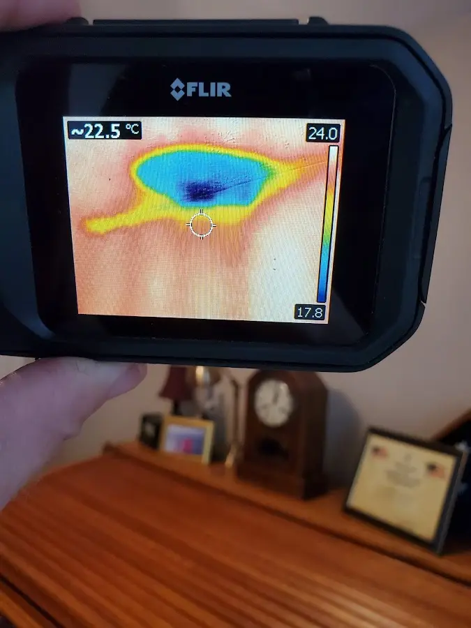 Thermal imaging inspection for water damage in Cedar Hills